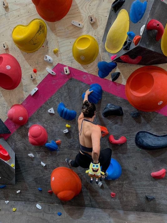 Personalized Plushie Chalk Bag  Custom Rock Climbing Gear, Unique Gift for Climbers, Cute Bouldering & Rock Climbing Accessory